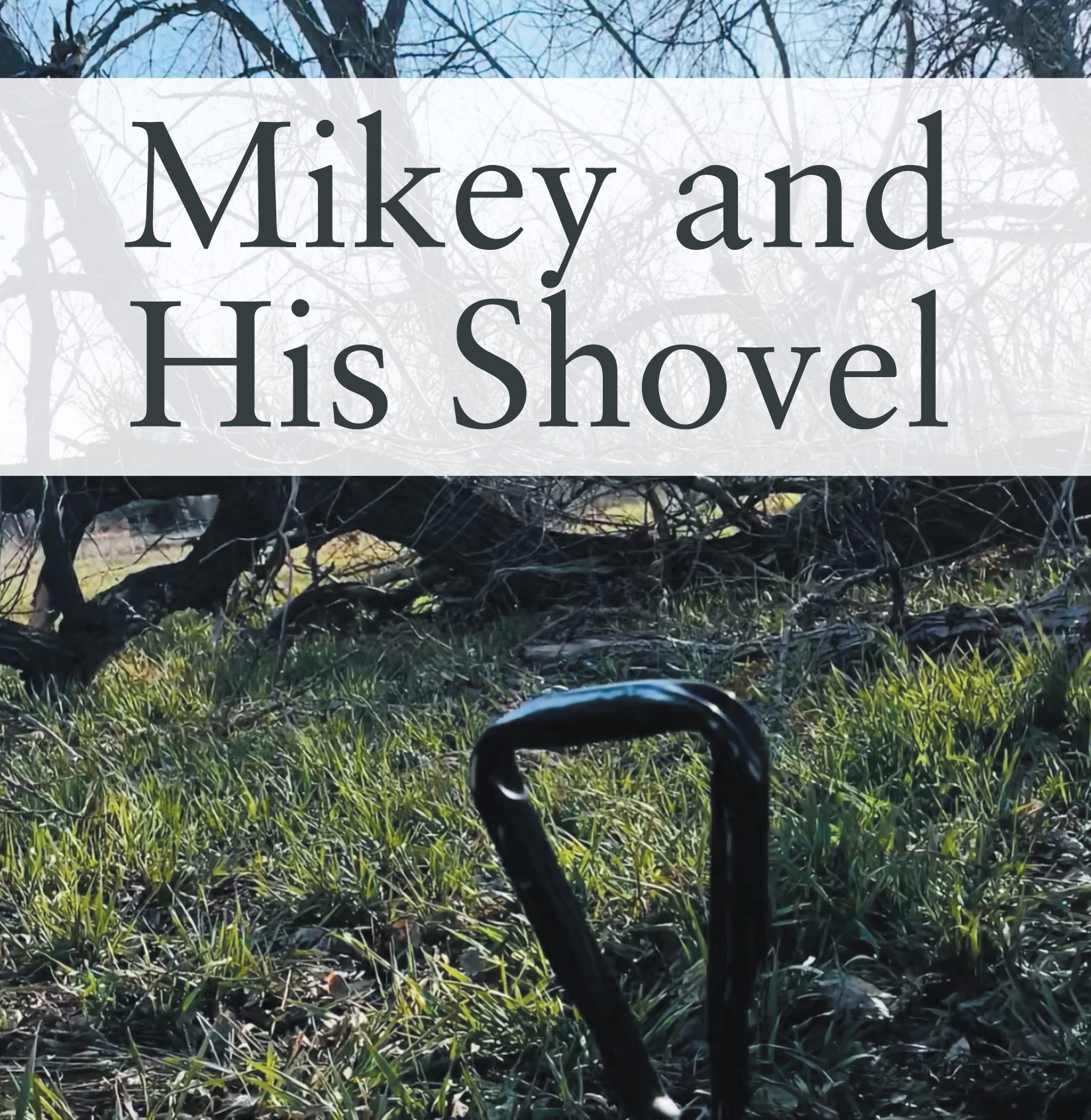 ⭐⭐⭐⭐⭐Review of Outskirts Press by Bonnie Fooks, author of “Mikey and His Shovel”